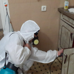 Дезинфекция от муравьев в квартире в Узловой