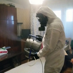 Дезинфекция от клопов в Узловой