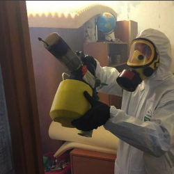Уничтожение клопов в квартире. Узловая